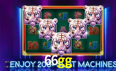 66gg,66gg bet